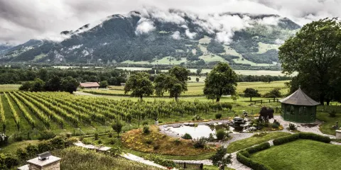 格雷辛格博物館