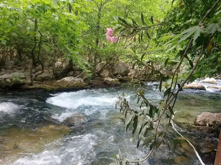 Sütçüler