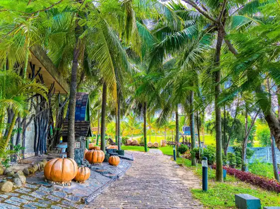 Các khách sạn gần Lâu đài rượu vang RD Phan Thiết - Mũi Né