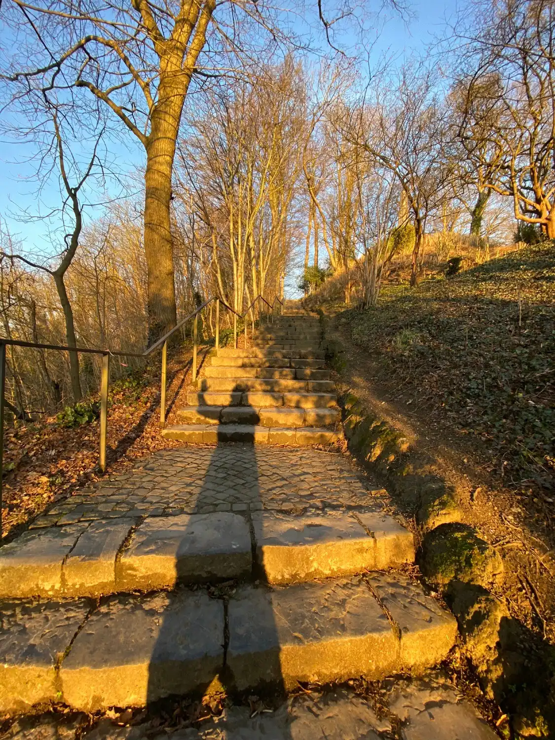 Wasserturm Belvedere周辺のホテル