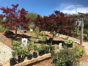 Hart County Botanical Garden