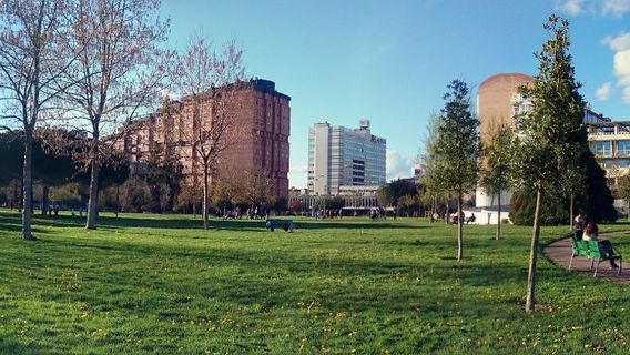 Pamplona