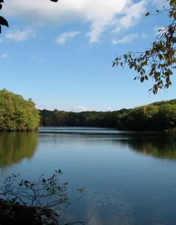 Hotels in Middlesex County