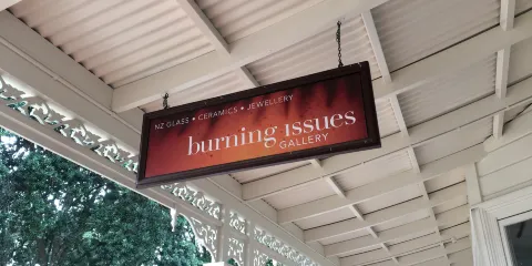 Burning Issues Gallery