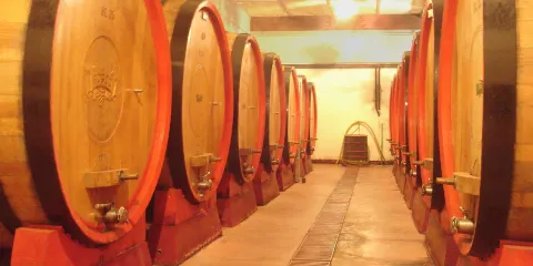 Cantine Bosco Nestore