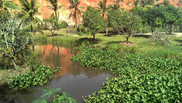 Vita Garden Mini-Zoo