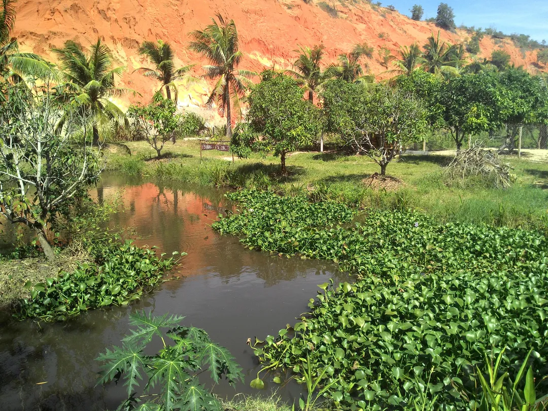 1_Vita Garden Mini-Zoo