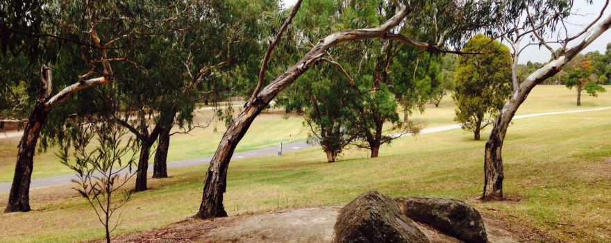 Koonung Creek Reserve