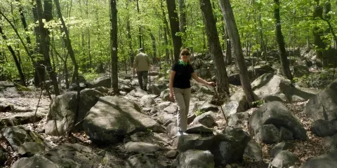 Sourland Mountain Preserve