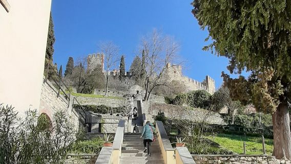 Parco Zanella Baccio