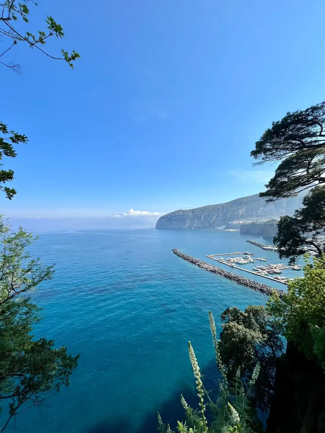 Hotel in zona Vivaio Ruoppo - Sorrento Lemon Farm