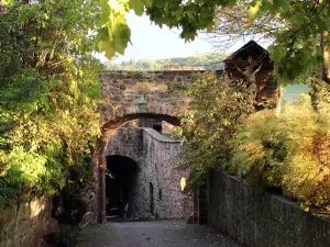 Castle and Castle Park Gamburg
