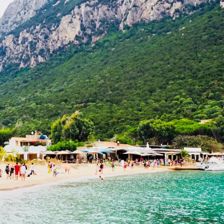 Hotels in Porto San Paolo