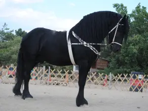 Parc Animalier Ginasservis