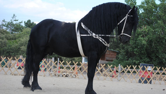 Parc Animalier Ginasservis