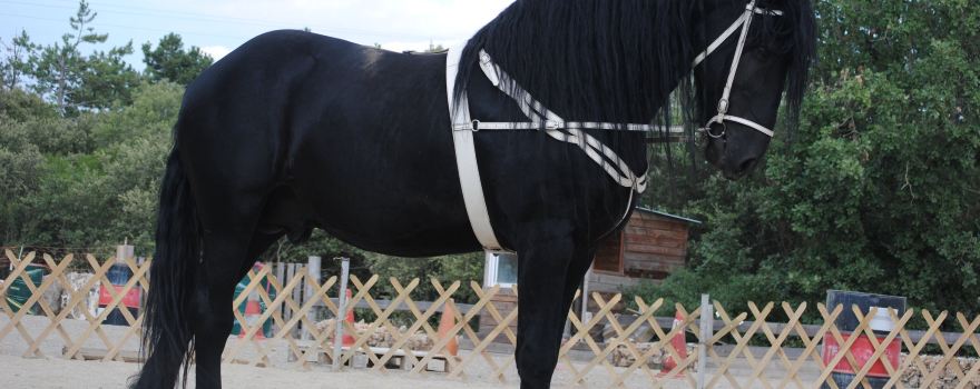 Parc Animalier Ginasservis