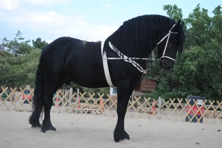 Các khách sạn ở Ginasservis