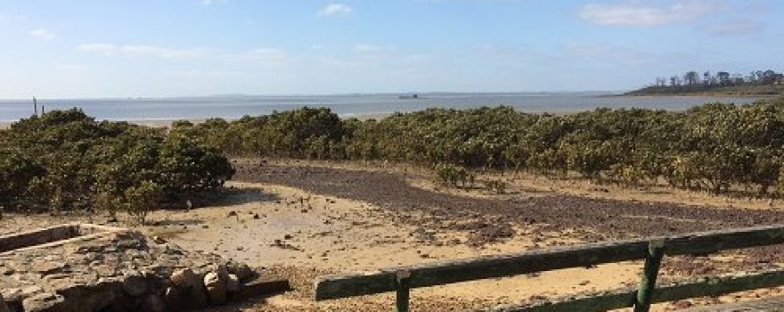 Jacks Beach Reserve