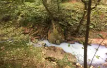 Поляна Высоцкого