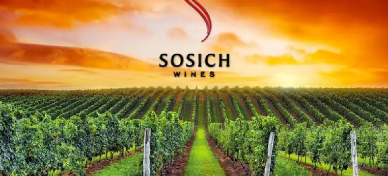Hotels in Tar