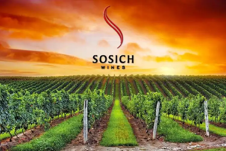 Các khách sạn ở Tar