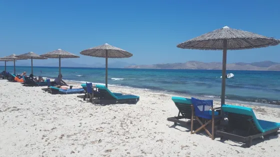 Barracuda Beach