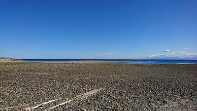 Davis Bay Beach