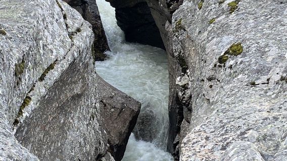 Magalaupet