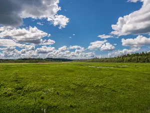 Vänga Bog Nature Reserve