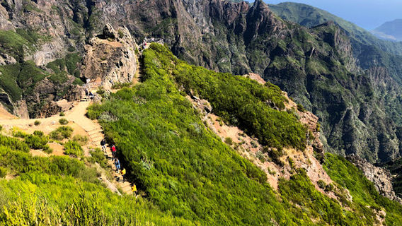 Miradouro do Ninho da Manta