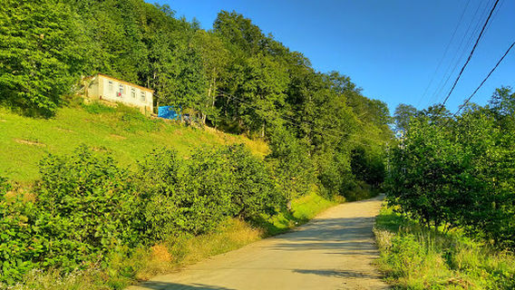 Arakli