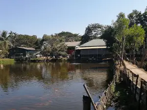 Taik Kyi Golden Fish Lake