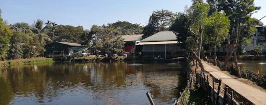 Taik Kyi Golden Fish Lake