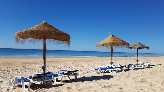 Beach Terra Estreita