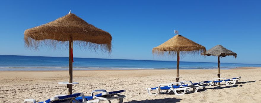 Beach Terra Estreita