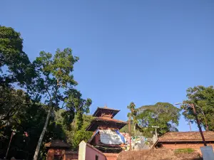 Shree Amar Narayan Temple