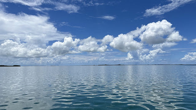 Brightwild Adventures