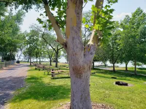 Cascade Park