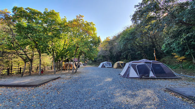 0 won Dalcheon auto camping