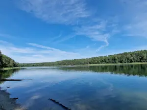 Rezerwat Przyrody Jezioro Piaseczno