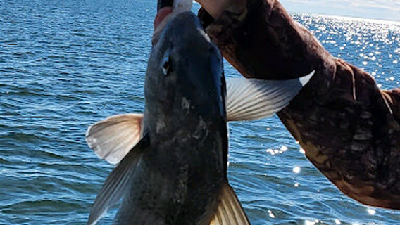 Extreme Fishing Habit Charters and Tours