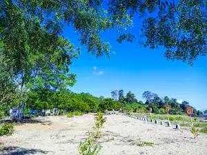 Sumalata Estuary Beach