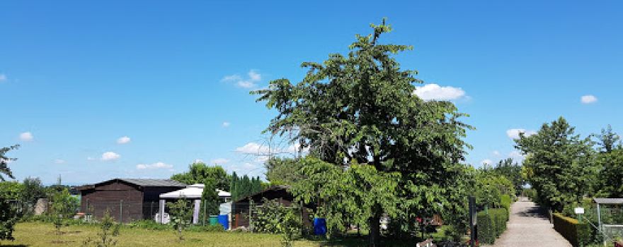 Gartenverein 'Dicke Hacke'