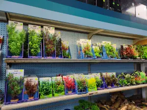Elmer's Aquarium