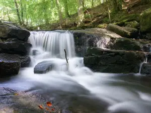 Holzbachschlucht