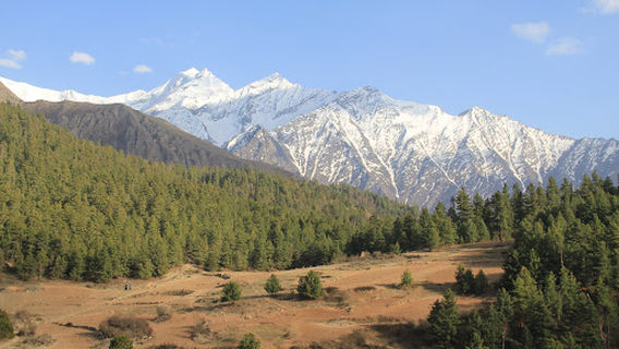 Shey Phoksundo Lake Side