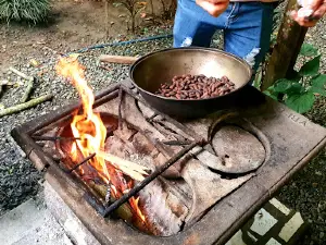 Cacao Trails - Museo de Cacao