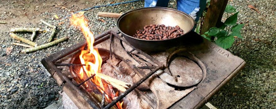 Cacao Trails - Museo de Cacao