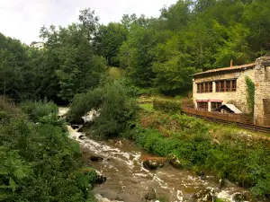 Vallée des Rouets