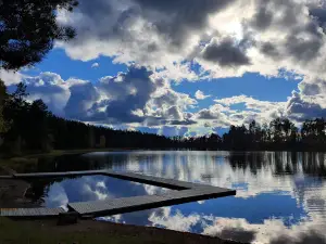 Målerås Vandringsled blåbär